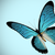:iconmeling-3d: