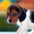:iconmelinoe2010: