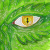 :iconmelis-star: