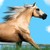 :iconmelishia: