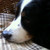 :iconmelisje62: