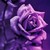 :iconmelissa87: