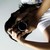 :iconmelissasender: