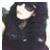 :iconmelissing: