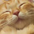 Melissy :iconmelissy: