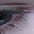 :iconmellechan: