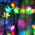 :iconmelliey098: