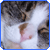 :iconmellish:
