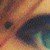:iconmellnoia: