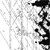 :iconmellor-77: