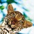 melmel441 :iconmelmel441:
