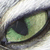 :iconmelmire: