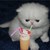 :iconmelmyfriend: