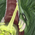 Melodic-Devil :iconmelodic-devil: