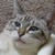 :iconmelodist: