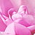 :iconmelonicecream: