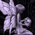 :iconmelonistar: