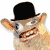 :iconmelonjelly: