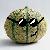 :iconmelonlonlon: