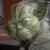 :iconmelonov: