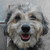 :iconmelpc-stock: