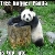 :iconmelsbels: