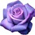 :iconmelskieb: