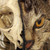 :iconmeltedcheese1: