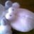 :iconmeltingsnowman: