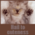 :iconmemamo3: