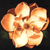 :iconmemnoc: