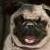 :iconmemnoch57:
