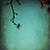 :iconmemorytree: