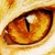 :iconmemphisof: