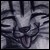 :iconmemppa-memo:
