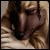 :iconmemppa-memo: