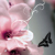 :iconMended-Muppet: