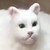 :iconMeneil666: