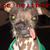 :iconmeneitherplz:
