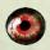 :iconmengqingfei: