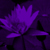:iconmentalabyss: