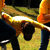 :iconmentaldude45: