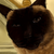 Meorow :iconmeorow:
