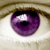 :iconmeow62: