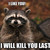 :iconmeowcatface21:
