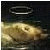 :iconmeowmix82: