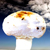 :iconmephist0: