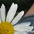 :iconmepy:
