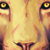 :iconMeralyn: