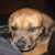 :iconmercurydragon: